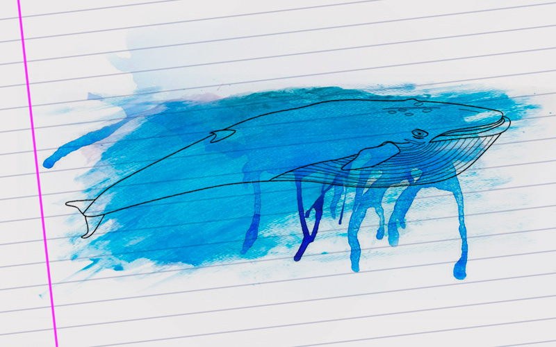 Juego "ballena azul":  La mejor forma de prevenir es generando lazos de confianza con los hijos