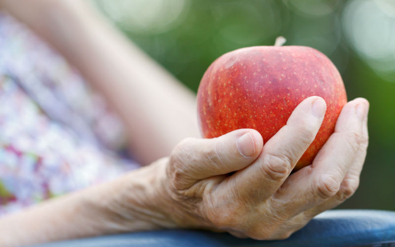 Nutrientes críticos ¿qué deben consumir los adultos mayores?