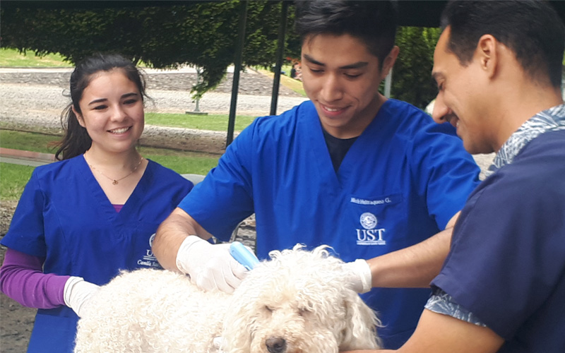 Medicina Veterinaria UST lideró operativo médico veterinario