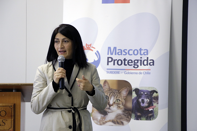 Abogada de la SUBDERE dio a conocer el marco normativo de la Tenencia Responsable de Mascotas en taller organizado por la Universidad Santo Tomás Talca