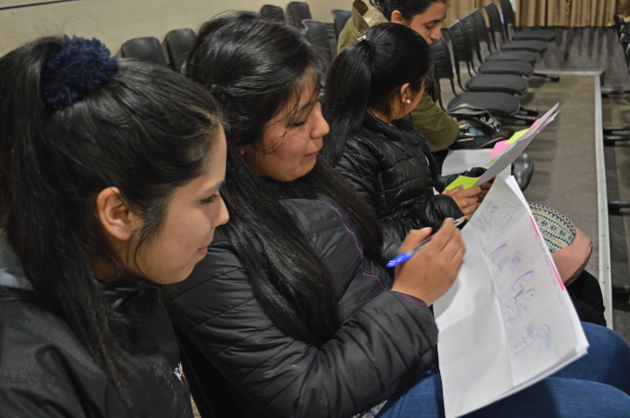 En Temuco se realizó taller de activación para concurso de Innovación Social