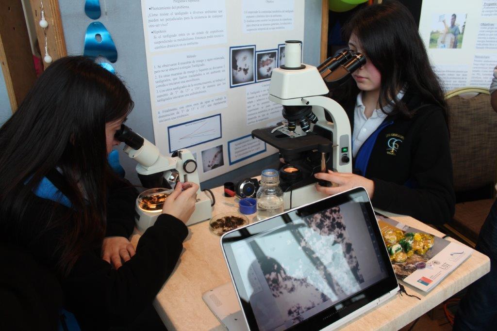 En modalidad online 9° Feria de la Ciencia y Tecnología Osorno se prepara para reunir a estudiantes en torno a la ciencia