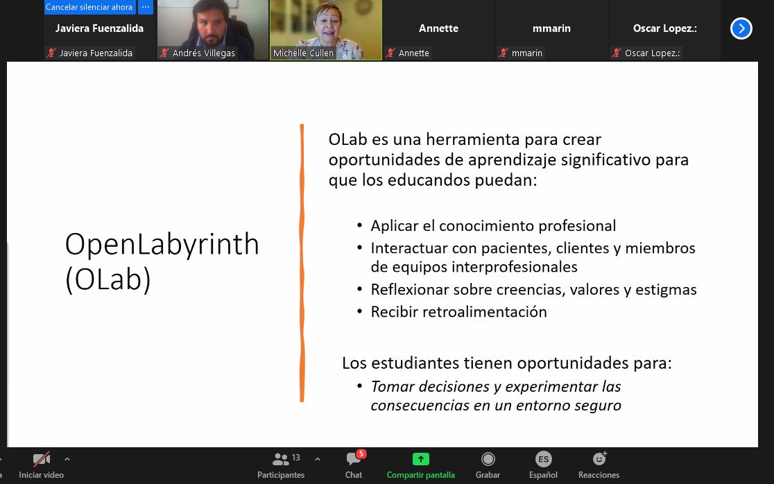 Académicos de la Universidad de Calgary capacitan a docentes UST en escenarios virtuales en plataforma Open Labyrinth