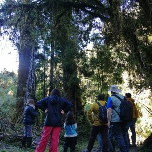 Finalización Proyecto FIC Universidad Santo Tomás Caleta Huellelhue y Caleta Cóndor