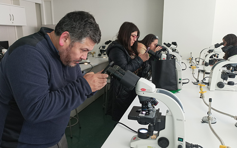 Profesores de Valparaíso aprenden sobre aplicación de neurociencia en el aula gracias a taller ofrecido por Santo Tomás Viña del Mar