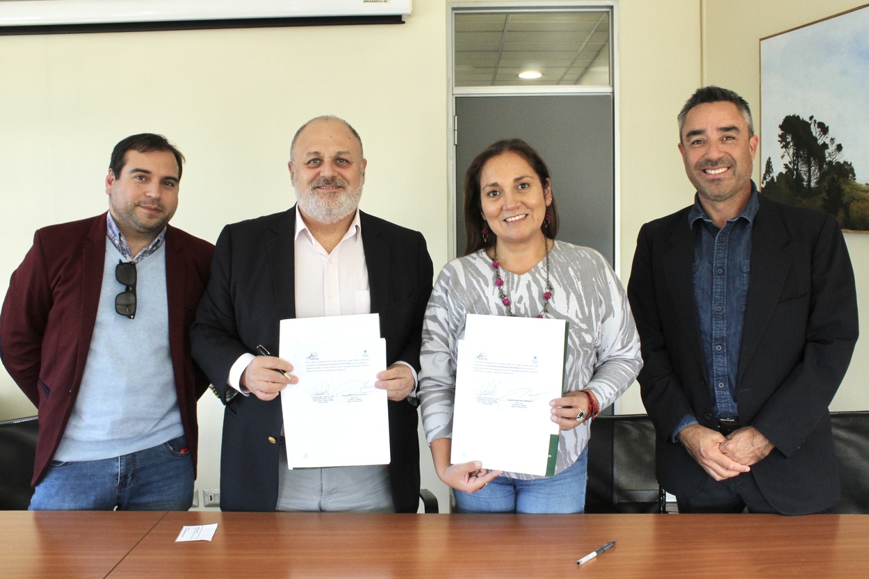 Santo Tomás firma alianza para trabajar en conjunto con Instituto Down en Concepción