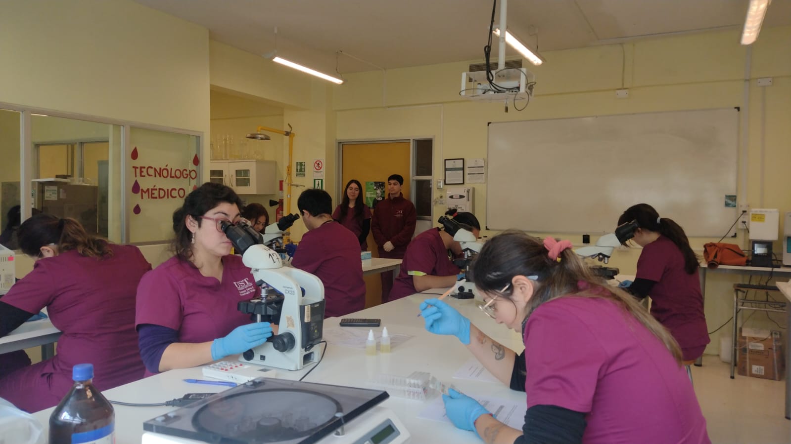 Tecnología Médica UST Puerto Montt evaluó competencias del perfil de egreso en sus estudiantes