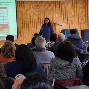 Taller de nutrición, sanidad y manejo de colmenas para un buen servicio de polinización se desarrolló en Santo Tomás Puerto Montt