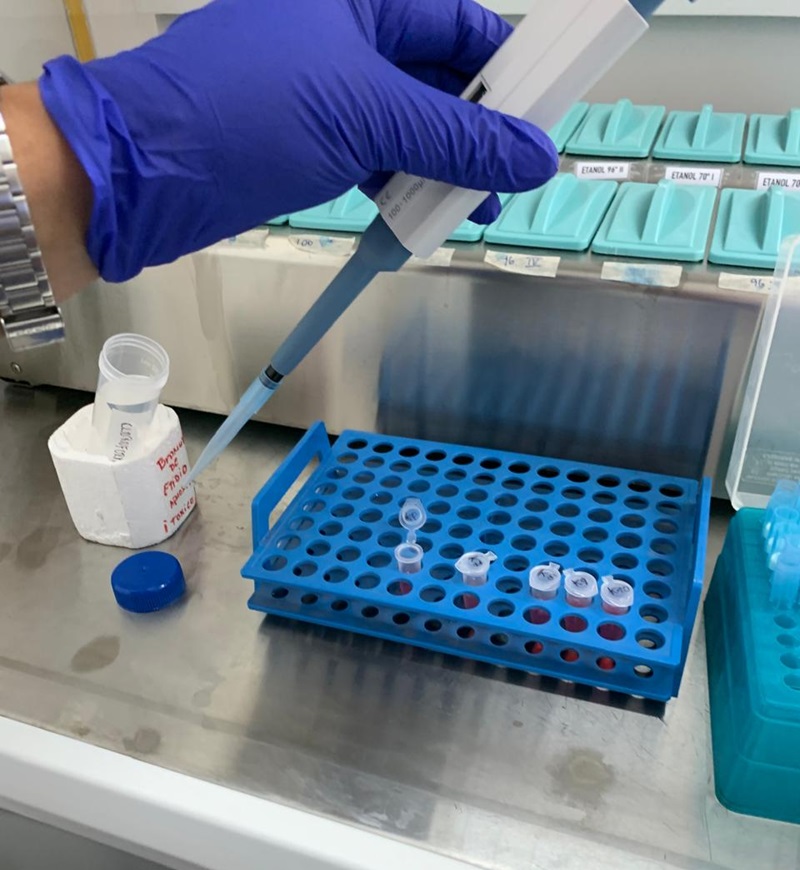 Académicos UST Osorno exponen investigación que alerta ...