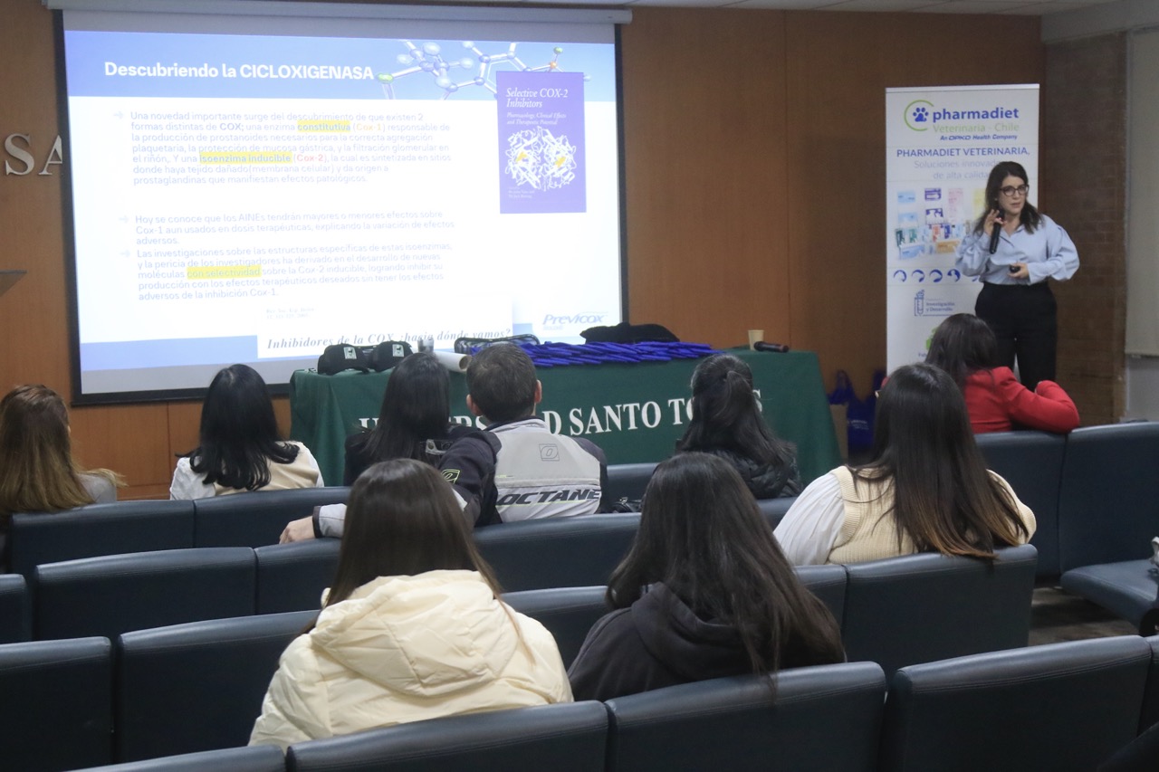 UST Talca reunió a titulados y expertos en charla sobre ...