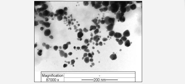 Caracterización de la AgNps por microscopía electrónica de transmisión.