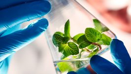 : Cultura científica en Biotecnología: estudio prospectivo en base a expertos