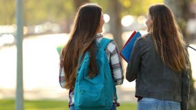 Artículo de libro: Investigación en educación superior