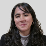 Carolina Zapata Huenullán