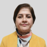Rosa Villalobos Castro