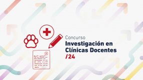 Concurso de Investigación en Clínicas Docentes 2024 - II