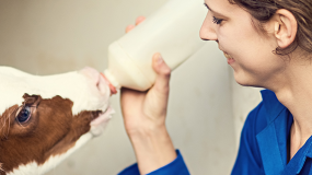 Facultad de Recursos Naturales y Medicina Veterinaria